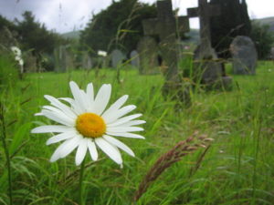 Friedhof in Chemnitz