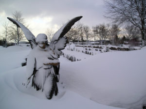 Friedhof Düsseldorf