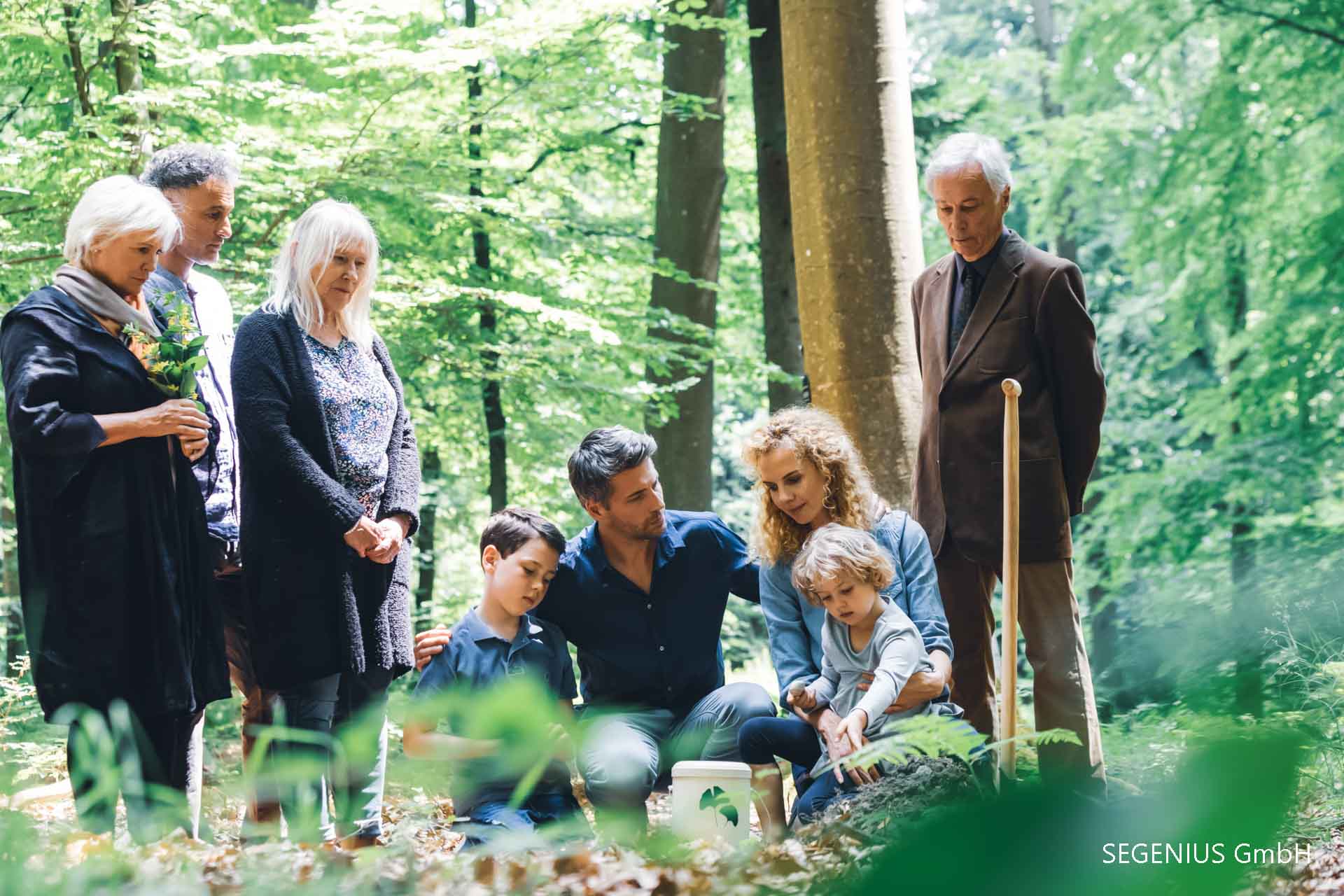 FriedWald Bestattung